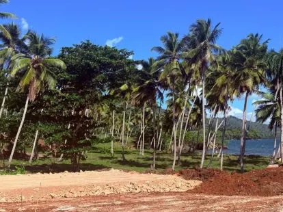 Land in Samana, Dominican Republic, 279m2 - for 99&nbsp;000$ - Ref: 80516 photo 3