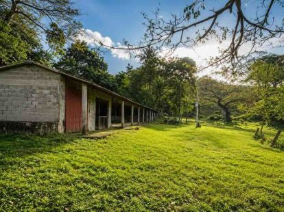 Участок в Кабарете, Доминиканская республика, 159 383м2 - стоимость 295&nbsp;000$ - Ref: 80540 фото 5