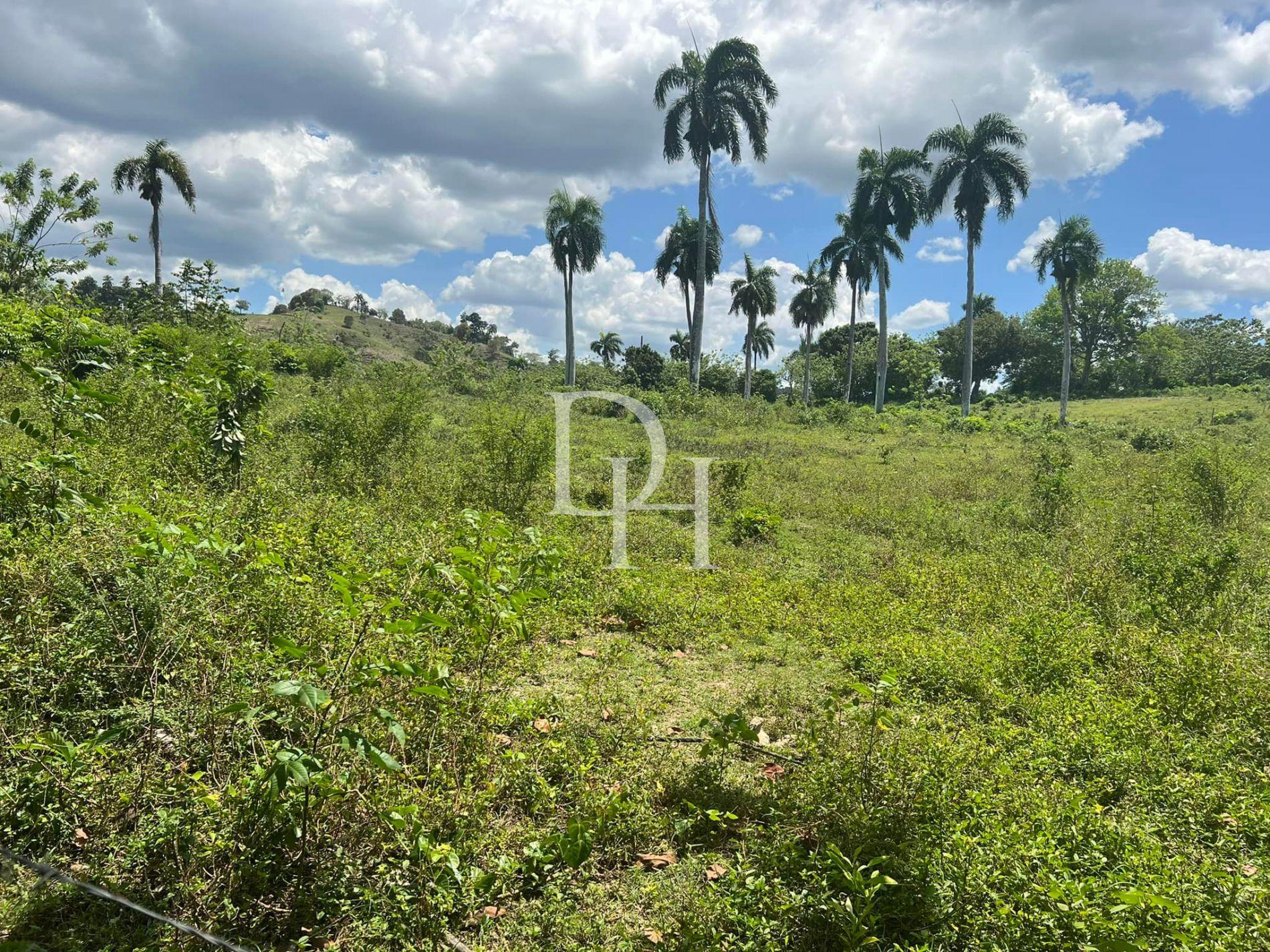 Land in Cabarete, Dominican Republic, 5 514m2 - for 125 000$ - Ref: 38754 photo 1