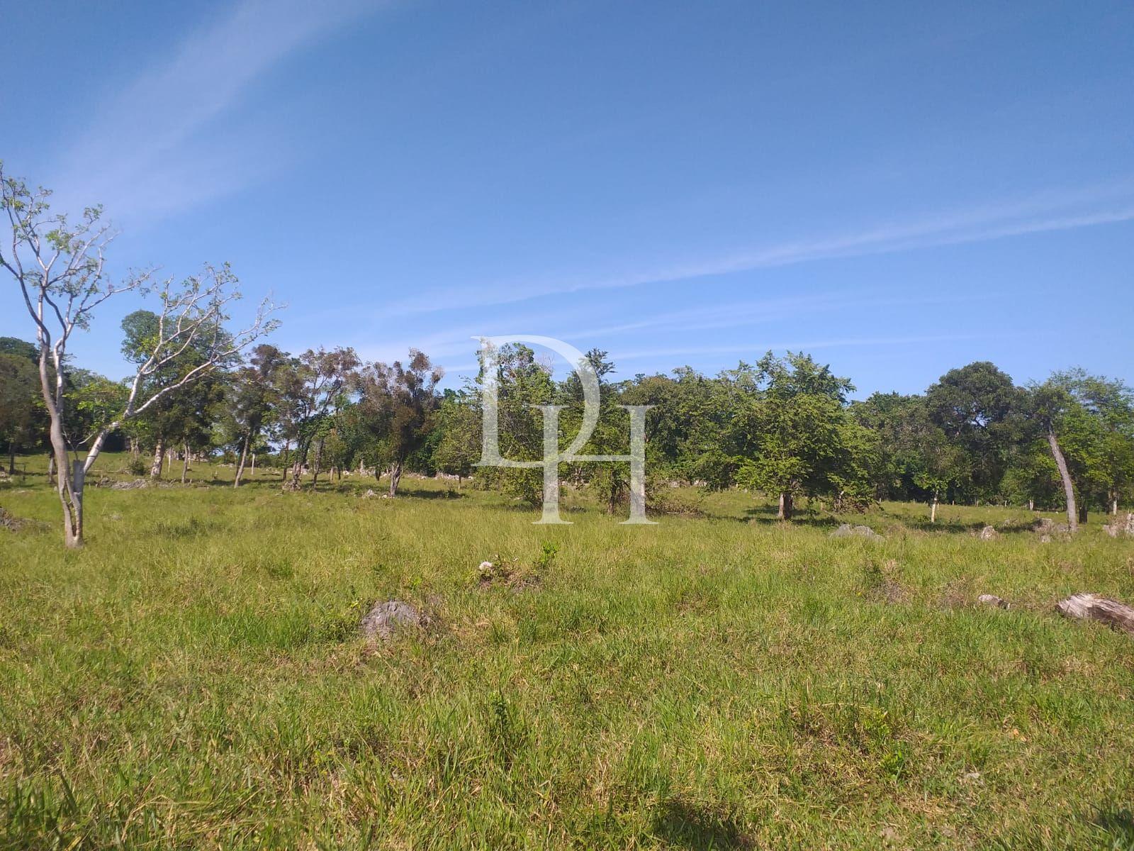 Участок в Кабарете, Доминиканская республика, 2 700 000м2 - стоимость 1 700 000$ - Ref: 40539 фото 2