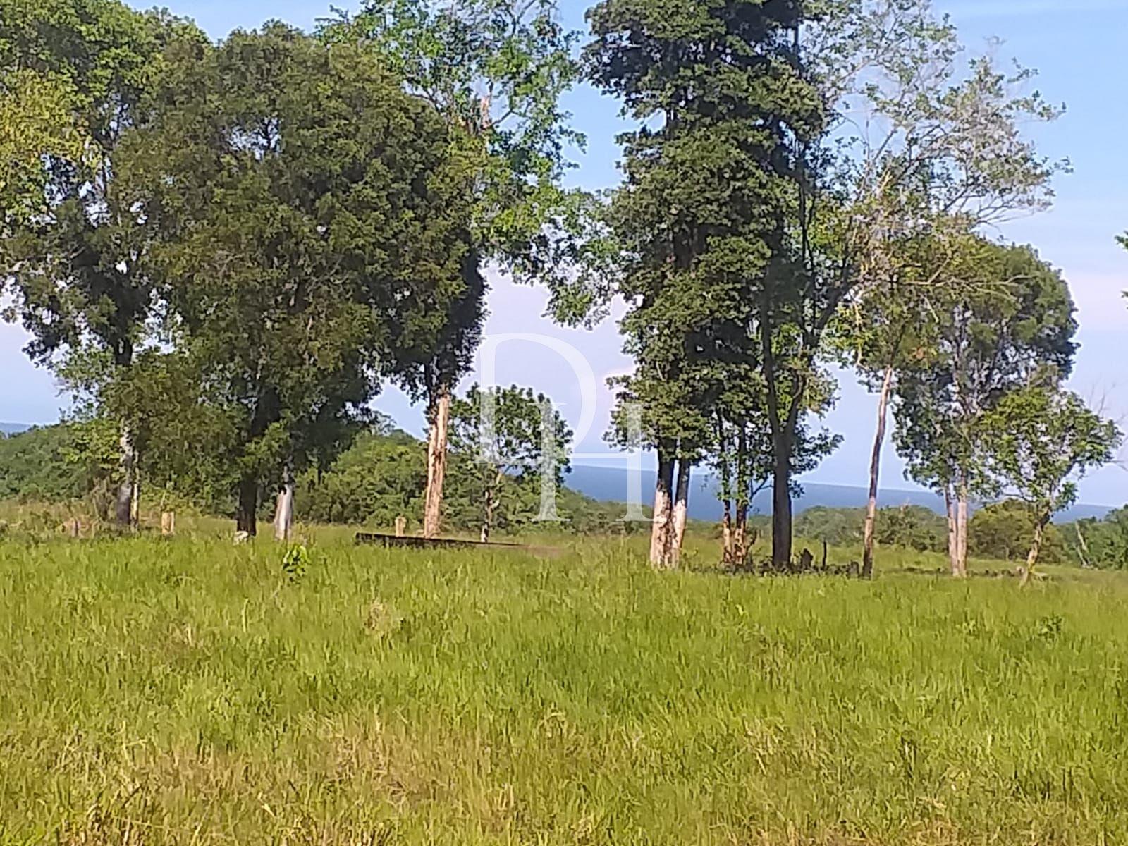 Участок в Кабарете, Доминиканская республика, 2 700 000м2 - стоимость 1 700 000$ - Ref: 40539 фото 1