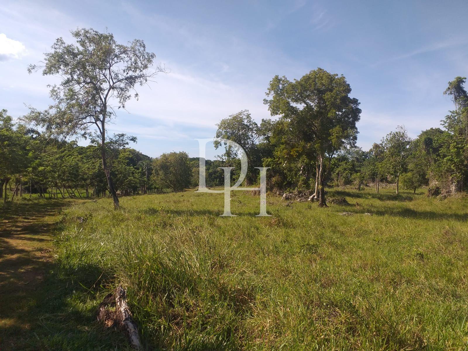 Участок в Кабарете, Доминиканская республика, 2 700 000м2 - стоимость 1 700 000$ - Ref: 40539 фото 3