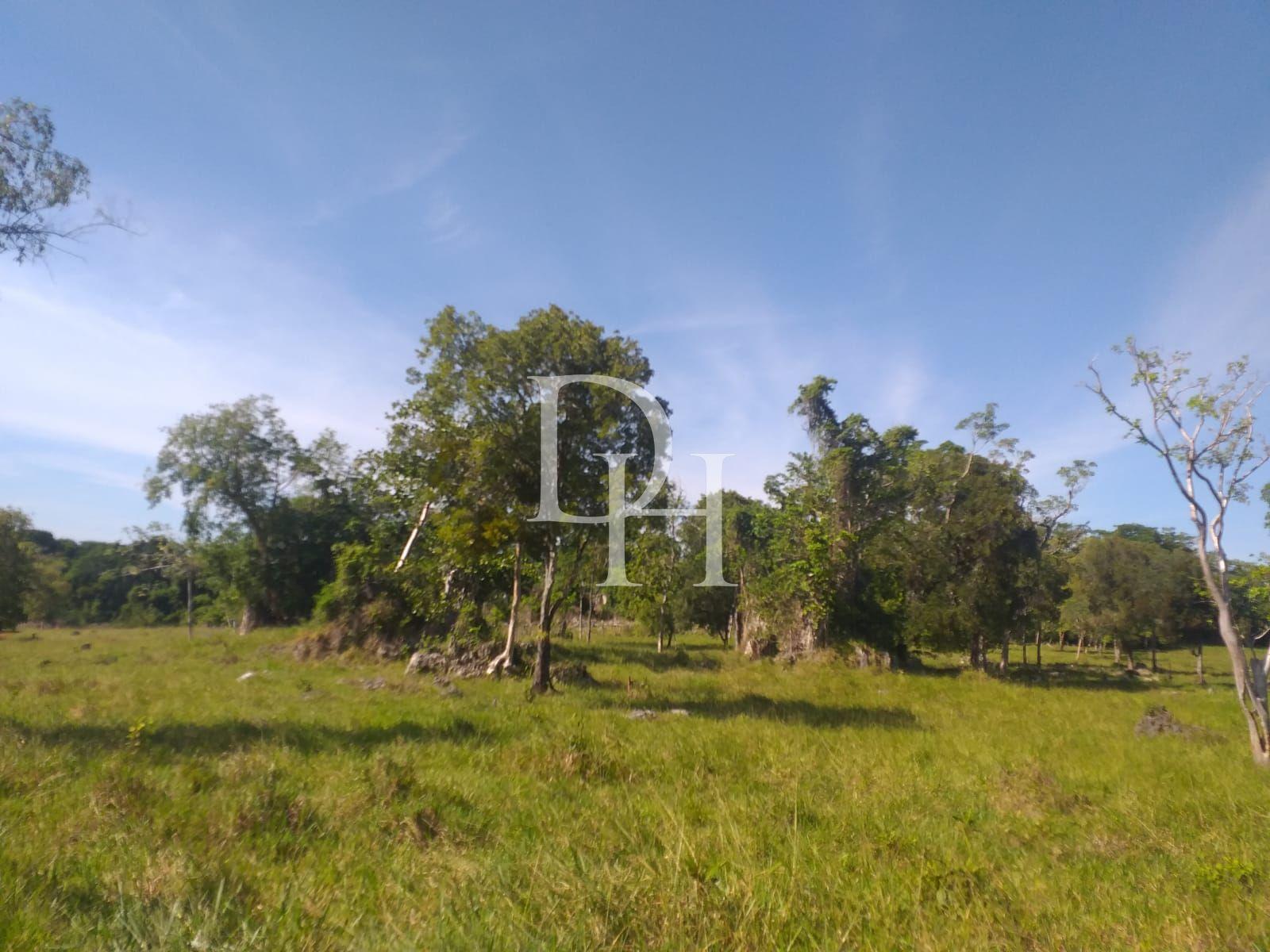 Участок в Кабарете, Доминиканская республика, 2 700 000м2 - стоимость 1 700 000$ - Ref: 40539 фото 4