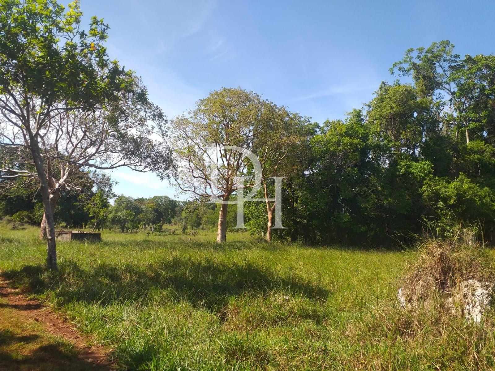 Участок в Кабарете, Доминиканская республика, 2 700 000м2 - стоимость 1 700 000$ - Ref: 40539 фото 5