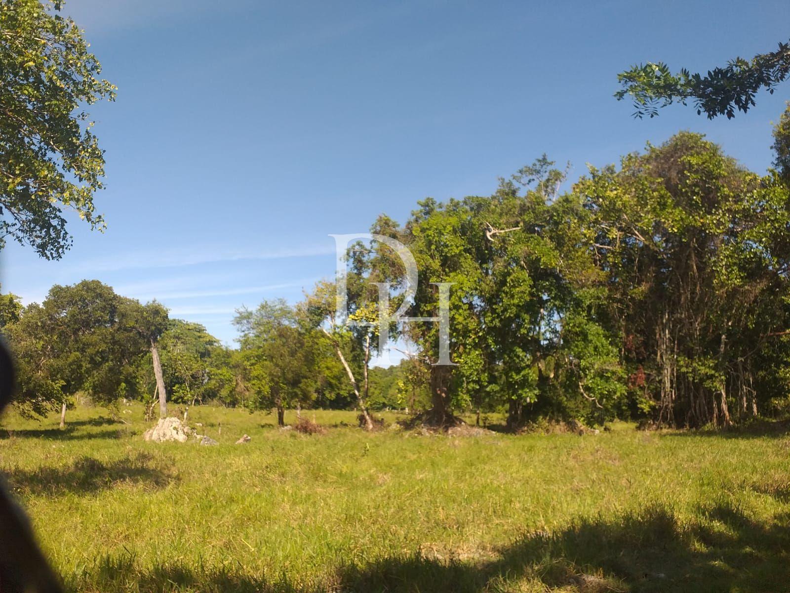 Участок в Кабарете, Доминиканская республика, 2 700 000м2 - стоимость 1 700 000$ - Ref: 40539 фото 6