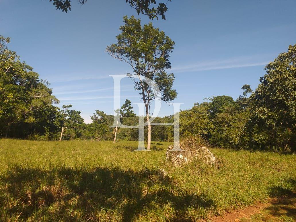 Участок в Кабарете, Доминиканская республика, 2 700 000м2 - стоимость 1 700 000$ - Ref: 40539 фото 7