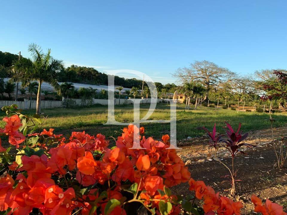 Участок в La Mulata в Сосуа, Доминиканская республика, 900м2 - стоимость 42 000$ - Ref: 40600 фото 5