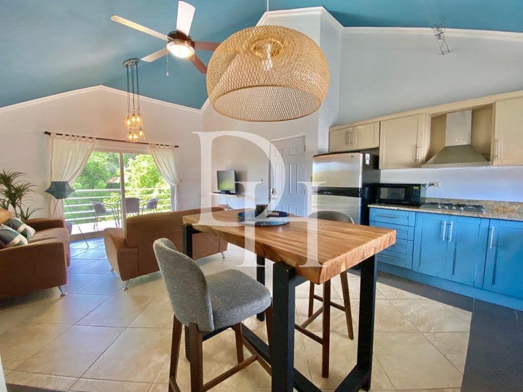 Пентхаус в Кабарете, Доминиканская республика, 57м2 - стоимость 190 000$ - Ref: 40736 фото 7