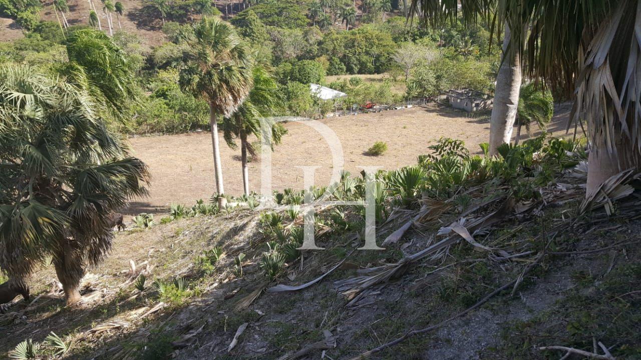 Участок в Сосуа, Доминиканская республика, 4 000м2 - стоимость 26 000$ - Ref: 40834 фото 2