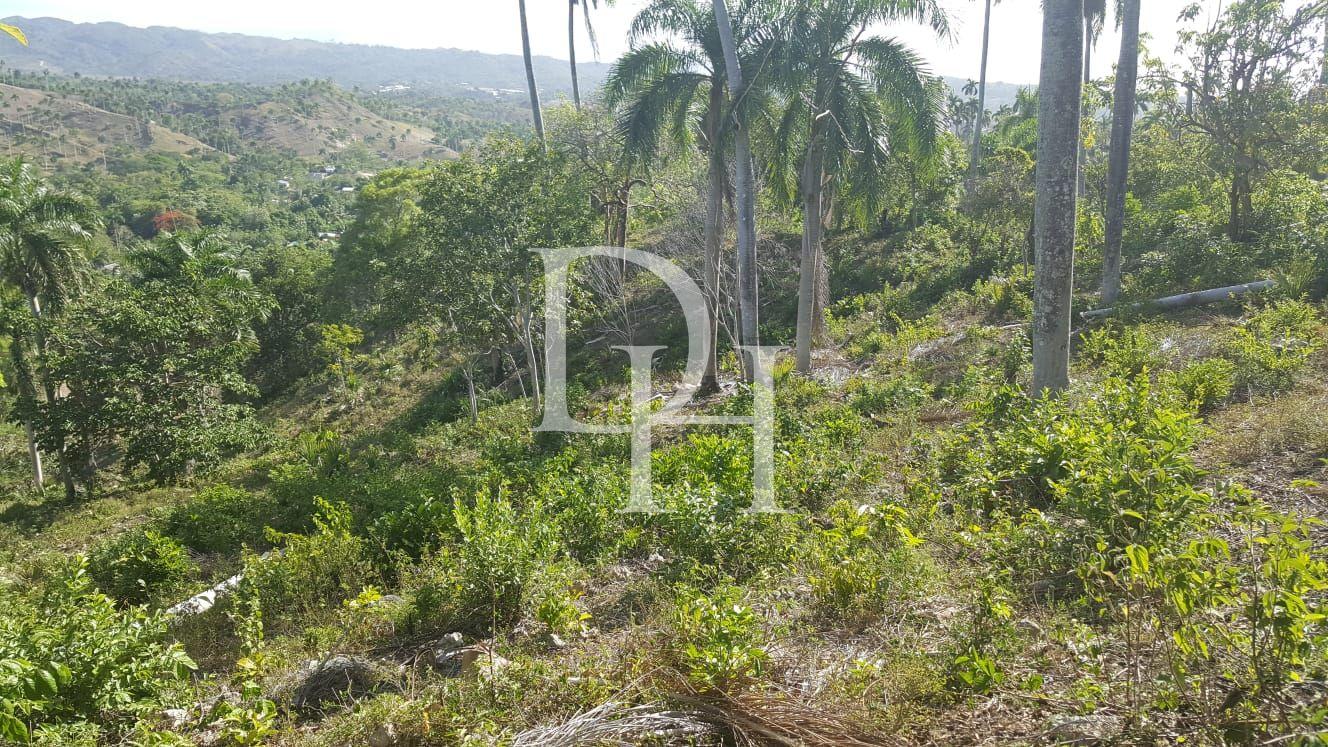 Участок в Сосуа, Доминиканская республика, 4 000м2 - стоимость 26 000$ - Ref: 40834 фото 3