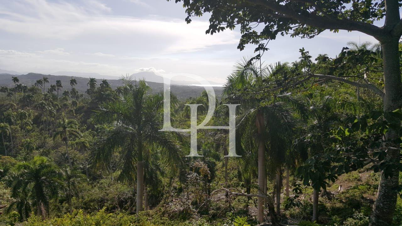 Участок в Сосуа, Доминиканская республика, 4 000м2 - стоимость 26 000$ - Ref: 40834 фото 4