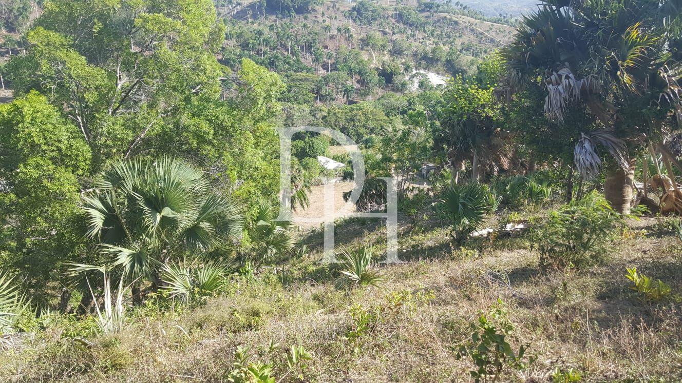 Участок в Сосуа, Доминиканская республика, 4 000м2 - стоимость 26 000$ - Ref: 40834 фото 1