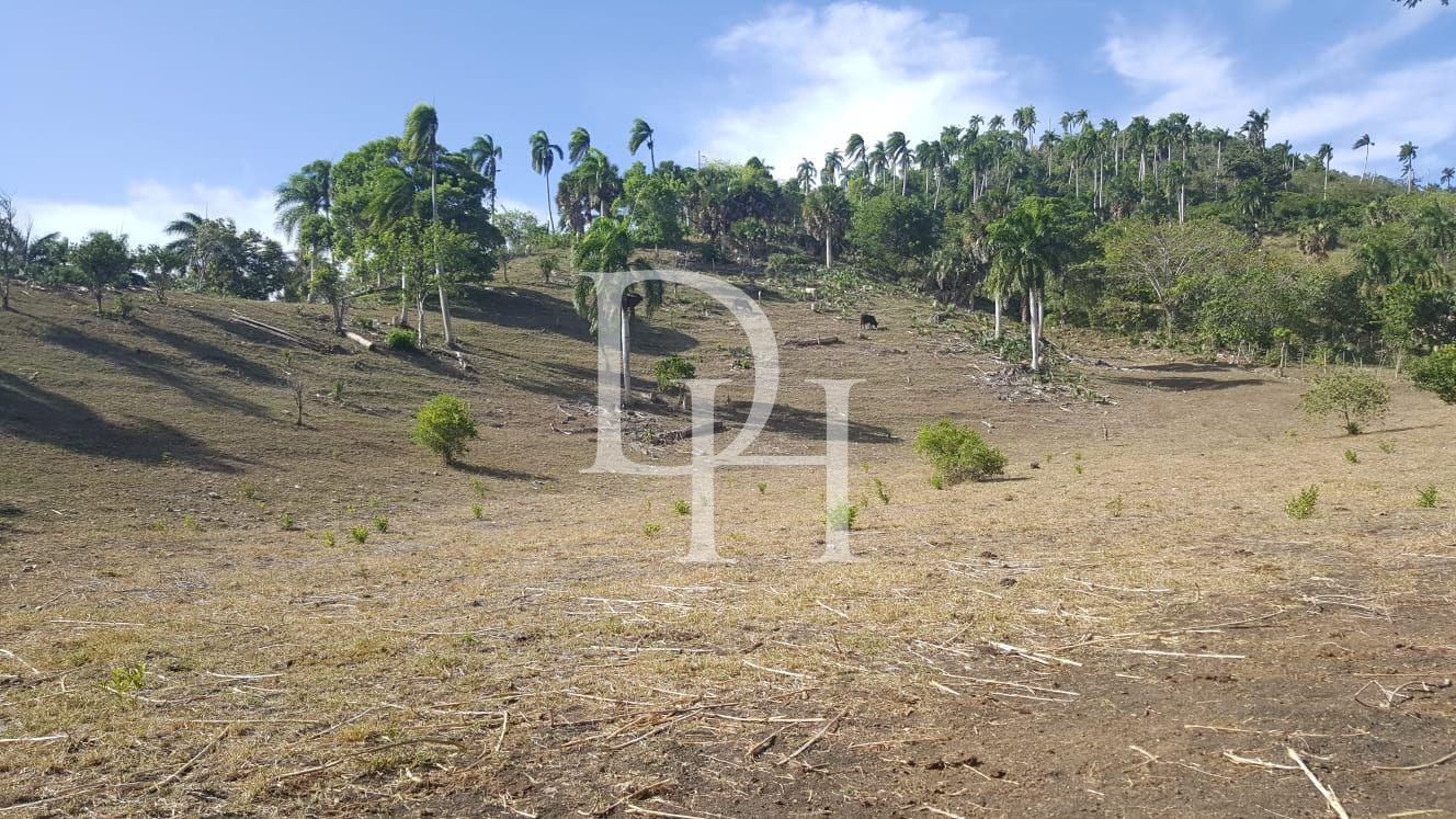 Участок в Сосуа, Доминиканская республика, 4 000м2 - стоимость 26 000$ - Ref: 40834 фото 5