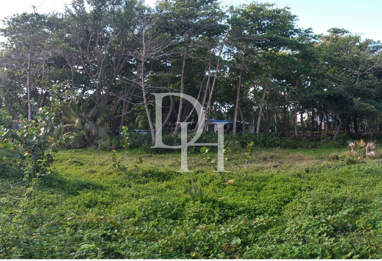 Участок в Кабарете, Доминиканская республика, 658м2 - стоимость 77 000$ - Ref: 41905 фото 2