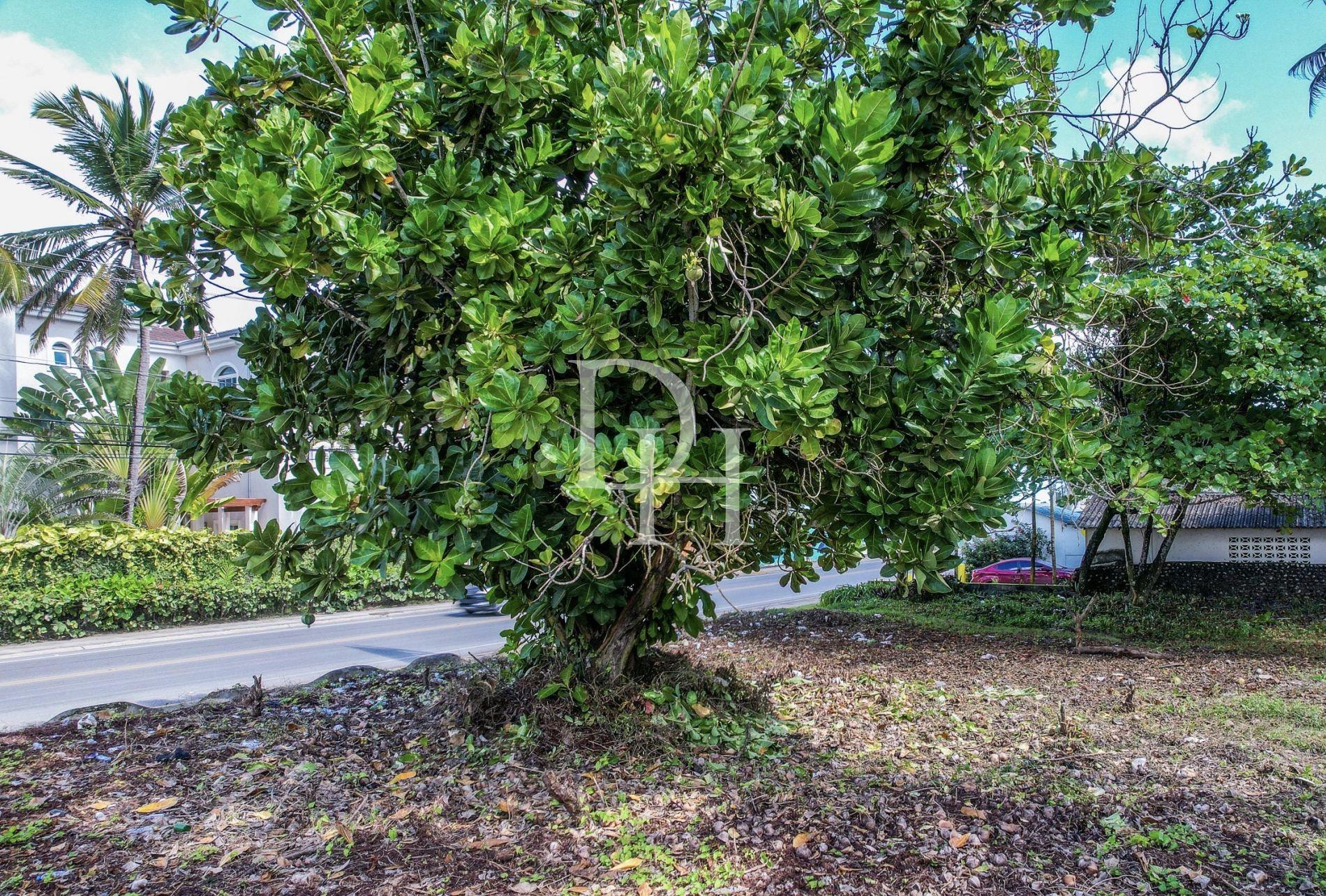 Участок в Кабарете, Доминиканская республика, 1 655м2 - стоимость 359 000$ - Ref: 41973 фото 4