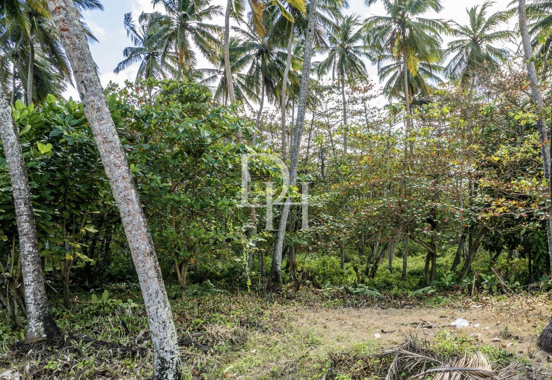 Участок в Кабарете, Доминиканская республика, 1 655м2 - стоимость 359 000$ - Ref: 41973 фото 8