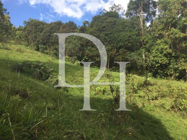 Участок в Харабакоа, Доминиканская республика, 2 300 000м2 - стоимость 1 890 000$ - Ref: 42395 фото 1