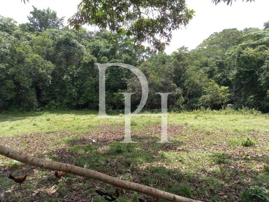 Участок в Харабакоа, Доминиканская республика, 2 300 000м2 - стоимость 1 890 000$ - Ref: 42395 фото 2