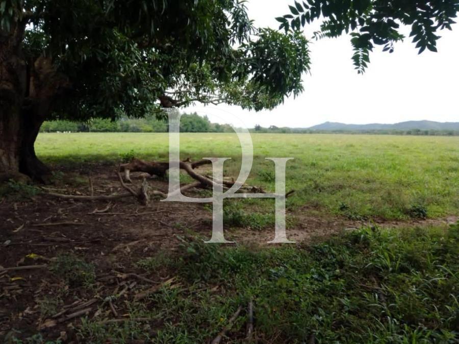 Участок в Харабакоа, Доминиканская республика, 2 300 000м2 - стоимость 1 890 000$ - Ref: 42395 фото 3