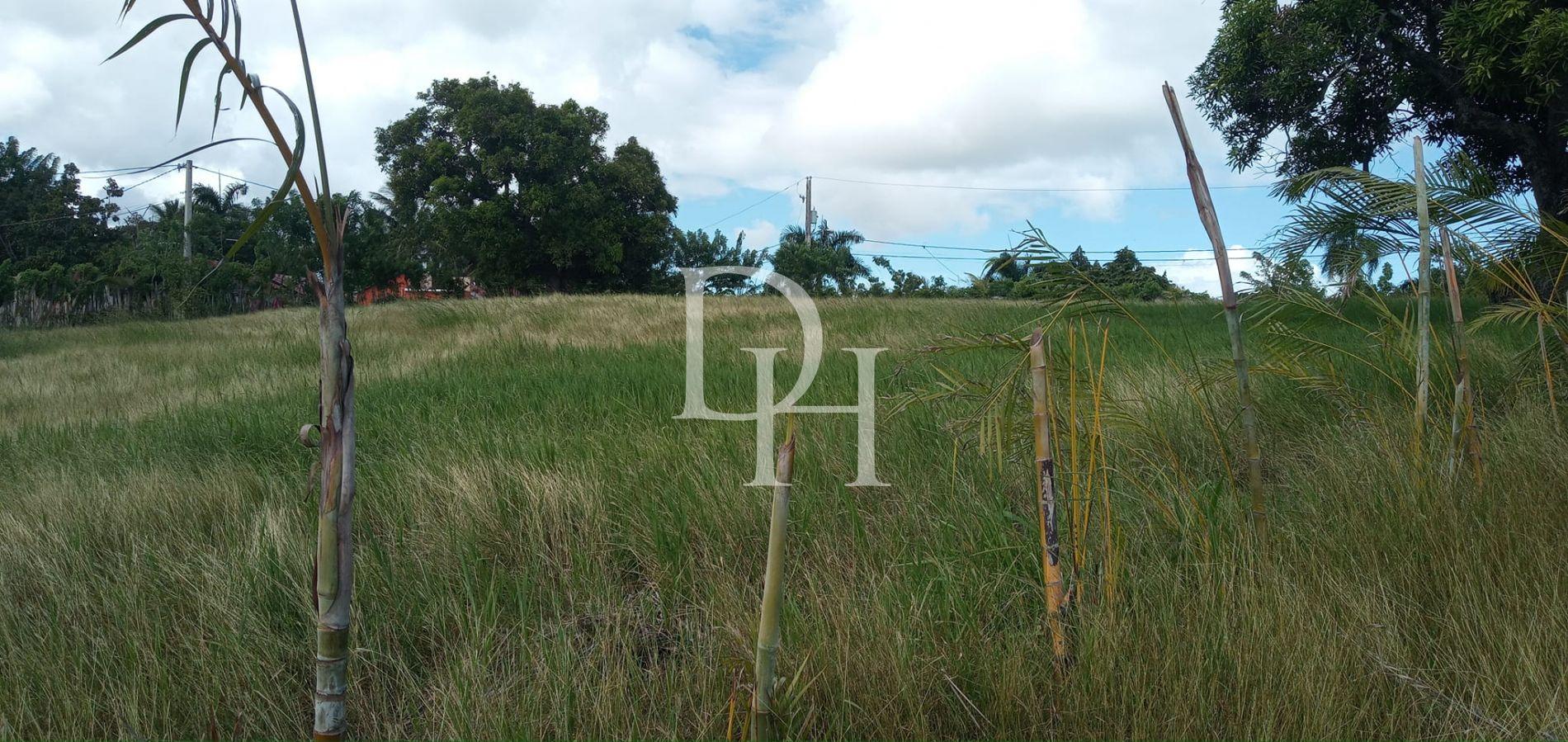 Участок в Сосуа, Доминиканская республика, 9 000м2 - стоимость 315 000$ - Ref: 42641 фото 3