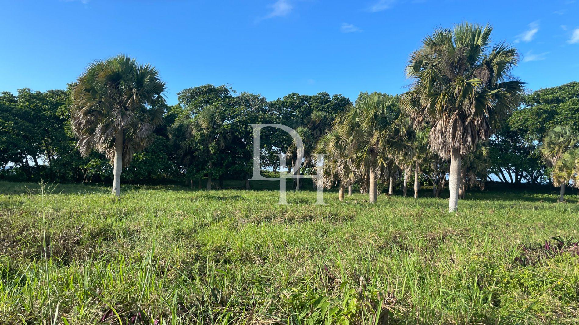 Участок в Кабарете, Доминиканская республика, 9 080м2 - стоимость 3 000 000$ - Ref: 42673 фото 3