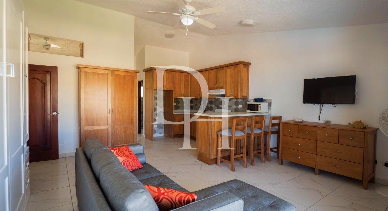 Апартаменты в Кабарете, Доминиканская республика, 65м2 - стоимость 225&nbsp;000$ - Ref: 42695 фото 16
