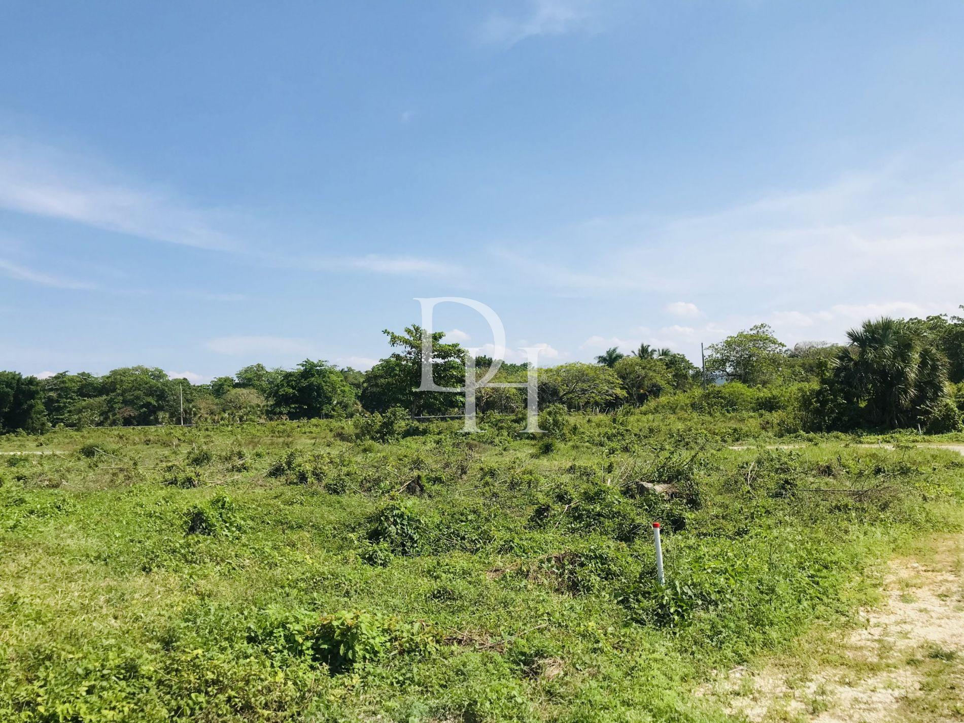 Участок в Кабарете, Доминиканская республика, 1 000м2 - стоимость 127 500$ - Ref: 42697 фото 2