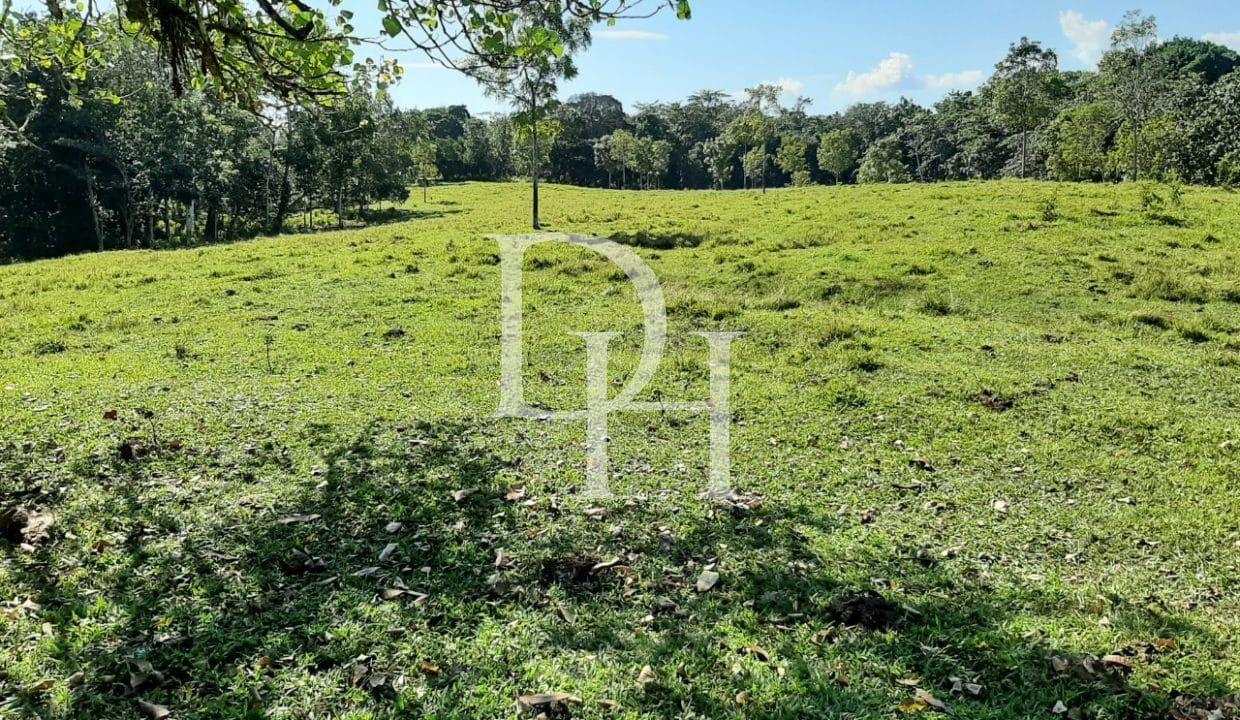 Участок в Кабарете, Доминиканская республика, 536 924м2 - стоимость 467 000$ - Ref: 44645 фото 10