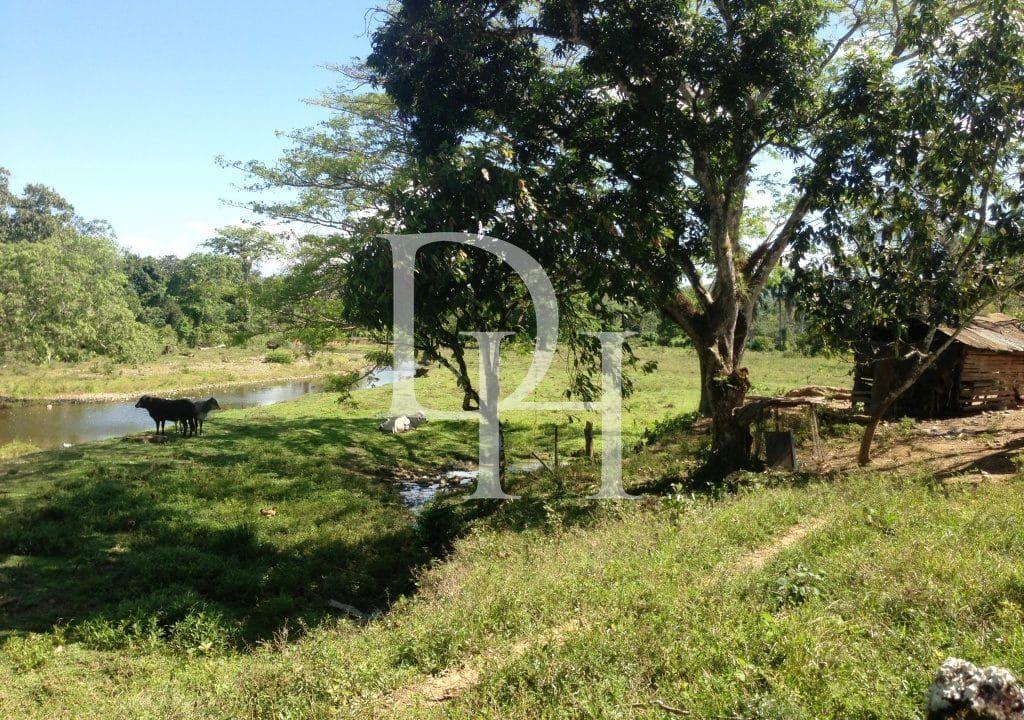 Участок в Кабарете, Доминиканская республика, 536 924м2 - стоимость 467 000$ - Ref: 44645 фото 14