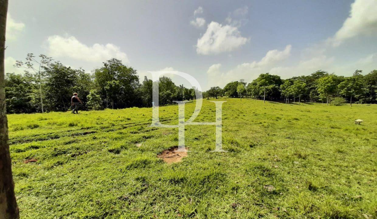 Участок в Кабарете, Доминиканская республика, 536 924м2 - стоимость 467 000$ - Ref: 44645 фото 3