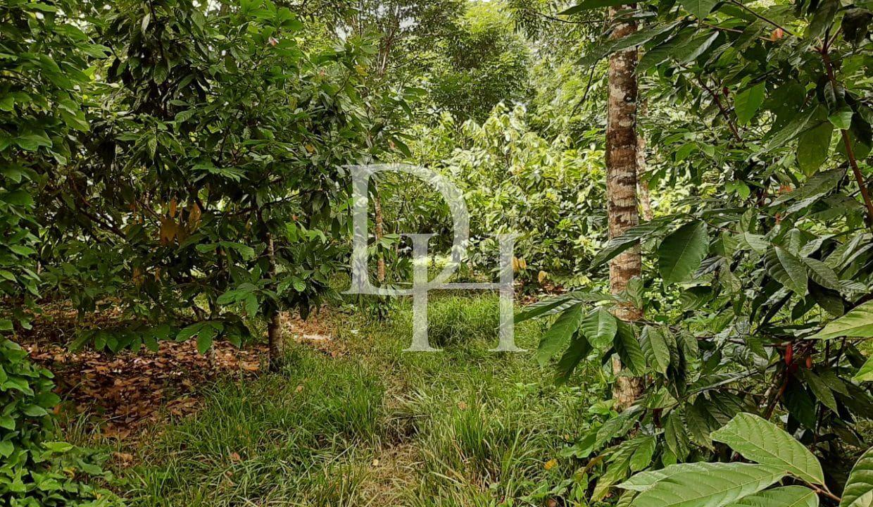 Участок в Кабарете, Доминиканская республика, 536 924м2 - стоимость 467 000$ - Ref: 44645 фото 6