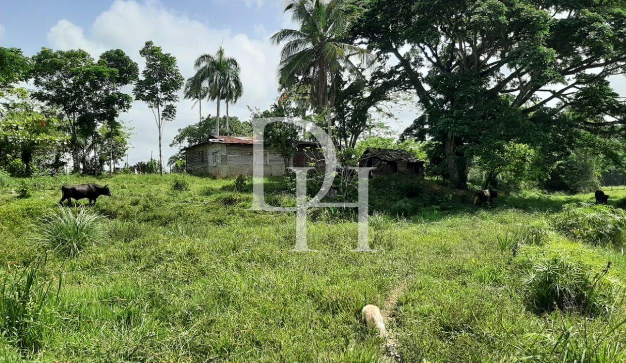 Участок в Кабарете, Доминиканская республика, 536 924м2 - стоимость 467 000$ - Ref: 44645 фото 8