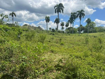 Land in Cabarete, Dominican Republic, 5 514m2 - for 125 000$ - Ref: 38754 photo 1
