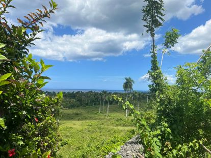 Land in Cabarete, Dominican Republic, 5 514m2 - for 125 000$ - Ref: 38754 photo 4