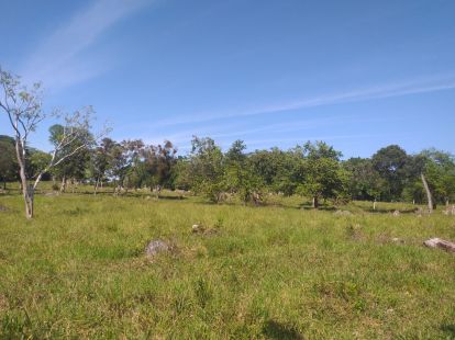 Участок в Кабарете, Доминиканская республика, 2 700 000м2 - стоимость 1 700 000$ - Ref: 40539 фото 2