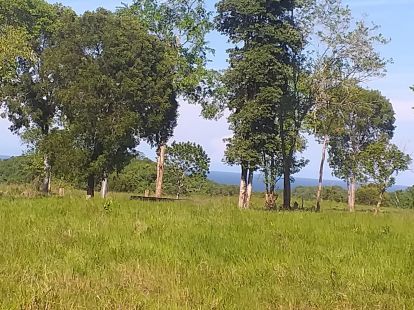 Участок в Кабарете, Доминиканская республика за 1 700 000$ (ID:40539)