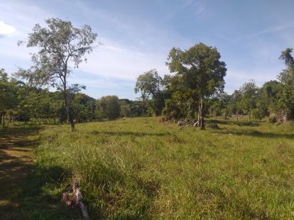 Участок в Кабарете, Доминиканская республика, 2 700 000м2 - стоимость 1 700 000$ - Ref: 40539 фото 3