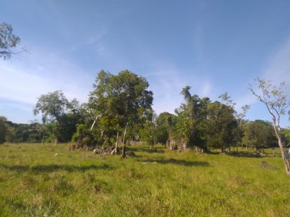 Участок в Кабарете, Доминиканская республика, 2 700 000м2 - стоимость 1 700 000$ - Ref: 40539 фото 4