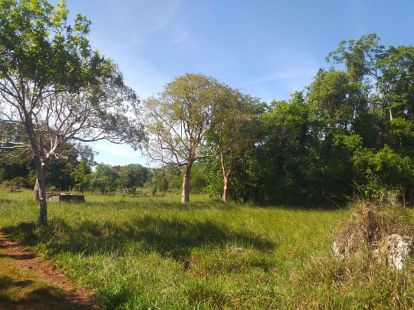 Участок в Кабарете, Доминиканская республика, 2 700 000м2 - стоимость 1 700 000$ - Ref: 40539 фото 5