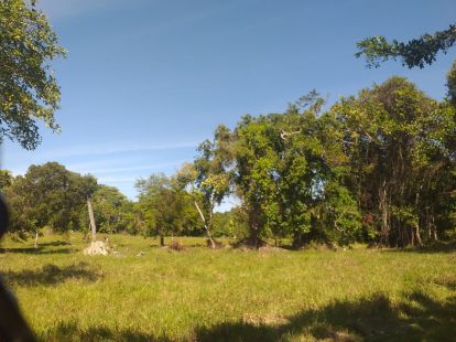 Участок в Кабарете, Доминиканская республика, 2 700 000м2 - стоимость 1 700 000$ - Ref: 40539 фото 6