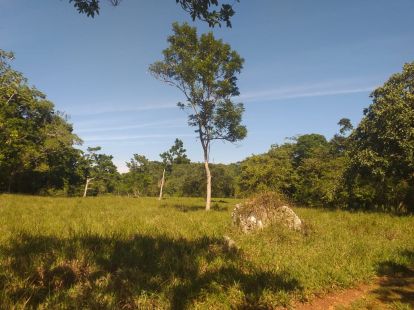 Участок в Кабарете, Доминиканская республика, 2 700 000м2 - стоимость 1 700 000$ - Ref: 40539 фото 7