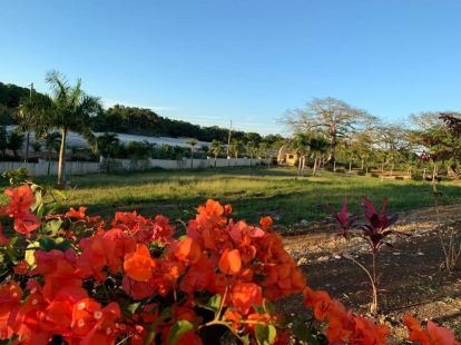 Участок в La Mulata в Сосуа, Доминиканская республика, 900м2 - стоимость 42 000$ - Ref: 40600 фото 5