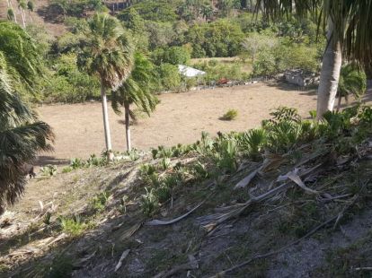 Участок в Сосуа, Доминиканская республика, 4 000м2 - стоимость 26 000$ - Ref: 40834 фото 2