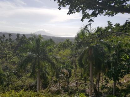 Участок в Сосуа, Доминиканская республика, 4 000м2 - стоимость 26 000$ - Ref: 40834 фото 4