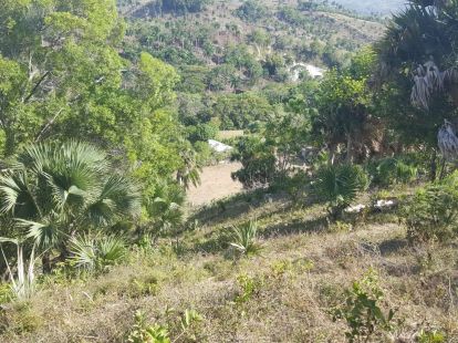 Участок в Сосуа, Доминиканская республика за 26 000$ (ID:40834)