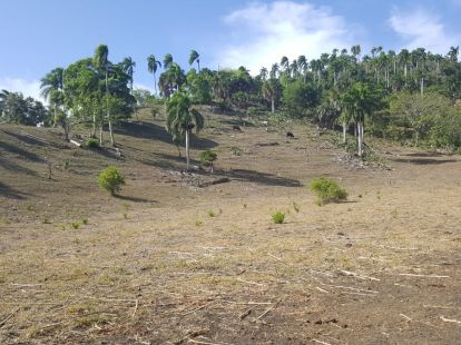 Участок в Сосуа, Доминиканская республика, 4 000м2 - стоимость 26 000$ - Ref: 40834 фото 5