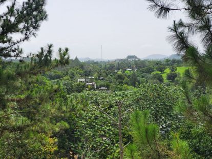 Вилла в Харабакоа, Доминиканская республика, 400м2 - стоимость 450 000$ - Ref: 41901 фото 29