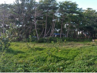 Участок в Кабарете, Доминиканская республика, 658м2 - стоимость 77 000$ - Ref: 41905 фото 2