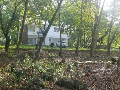 Участок в Кабарете, Доминиканская республика, 658м2 - стоимость 77 000$ - Ref: 41905 фото 4