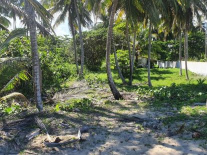 Участок в Кабарете, Доминиканская республика, 3 057м2 - стоимость 765 000$ - Ref: 41972 фото 2